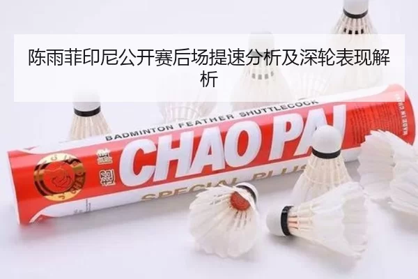 陈雨菲印尼公开赛后场提速分析及深轮表现解析